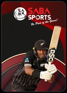 bagh8 cricket
