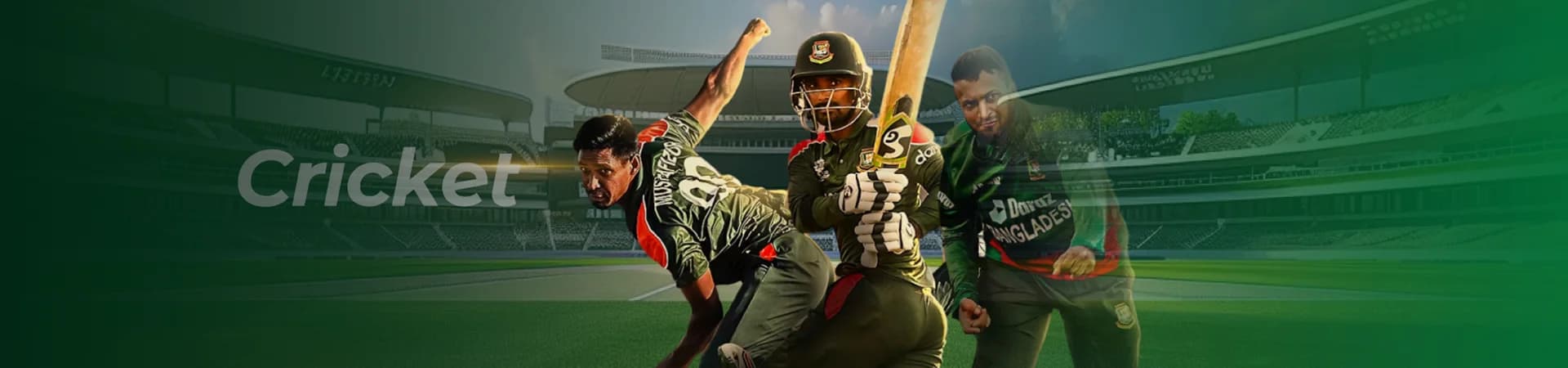 bagh8 cricket