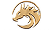 DG