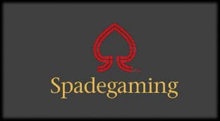 bagh8 casino