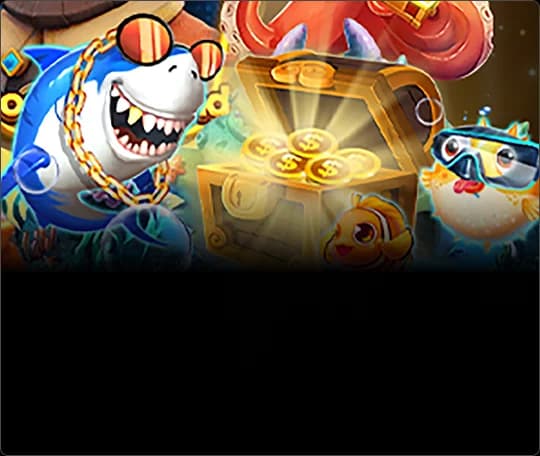 bagh8 live casino